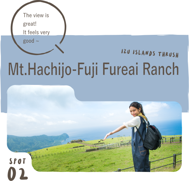 Mt.Hachijo-Fuji Fureai Ranch