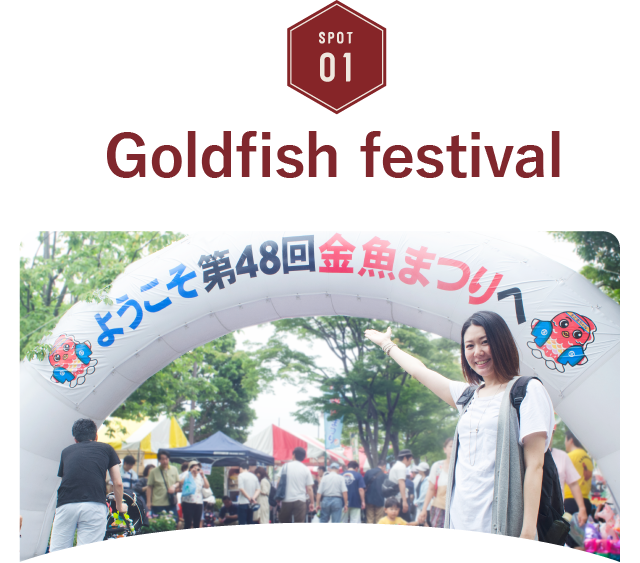 Goldfish festival