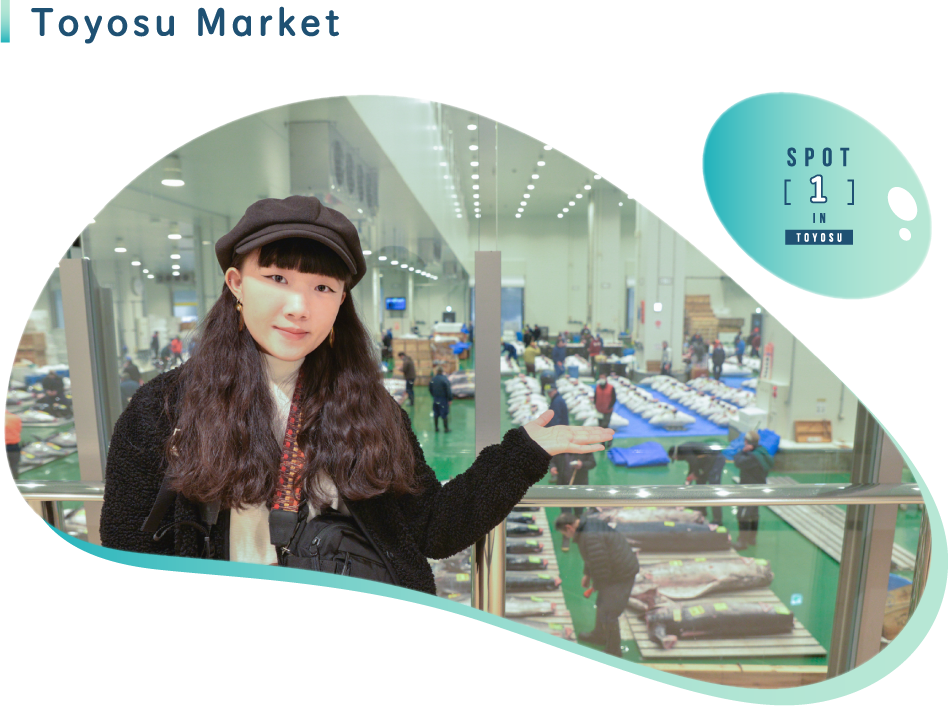 Toyosu Market
