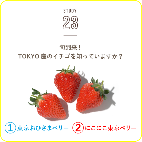 STUDY-23 旬到来! TOKYO産のイチゴを知っていますか？