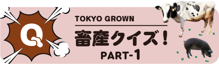 TOKYO GROWN『畜産クイズ』PART-1