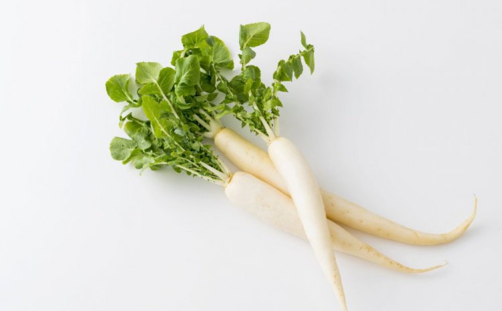 Kameido Japanese Radish
