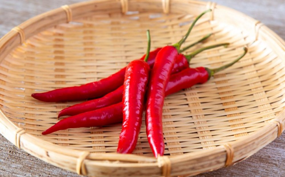 Naito Chili Pepper