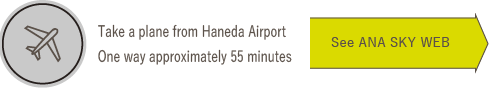 Take a plane from Haneda Airport
One way approximately 55 minutes
See ANA SKY WEB

