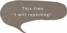 This time I will reporting! 