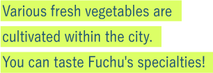 Various fresh vegetables are cultivated within the city.
You can taste Fuchu's specialties! 