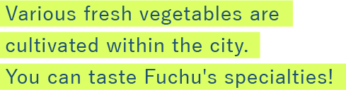 Various fresh vegetables are cultivated within the city.
You can taste Fuchu's specialties! 