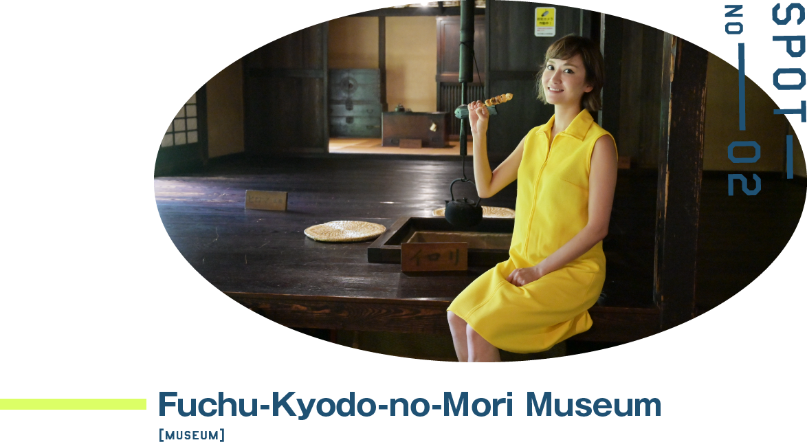 Fuchu-Kyodo-no-Mori Museum 