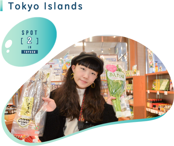 Tokyo Islands