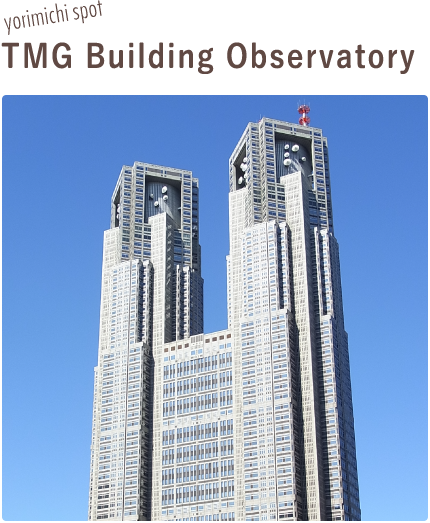 TMG Building Observatory
