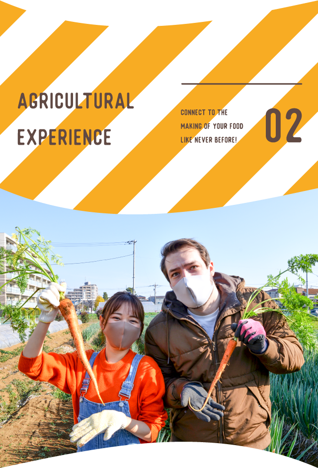 Agricultural experience 