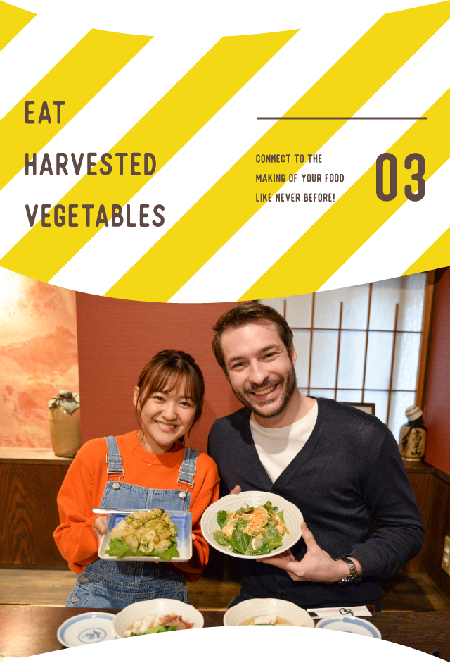 Eat harvested vegetables 
