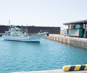 미야케섬 어업협동조합