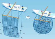 ムロアジ棒受網漁業