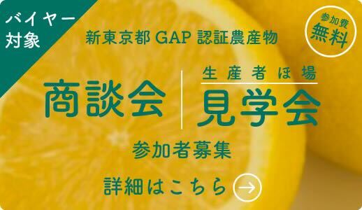 バイヤー向け 東京産農産物 認証制度 商談会・見学会