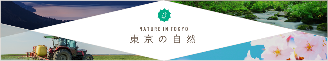 東京の自然