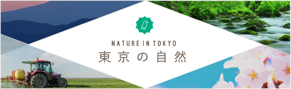 東京の自然