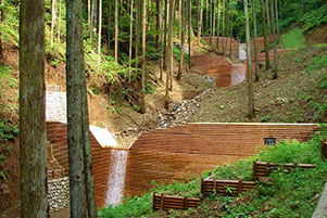 コンクリート製の治山ダムの木製残存型枠に丸太を利用（檜原村）
