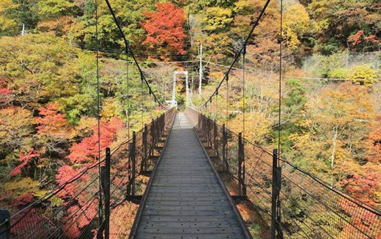 奥多摩の紅葉