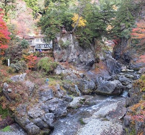 奥多摩の紅葉