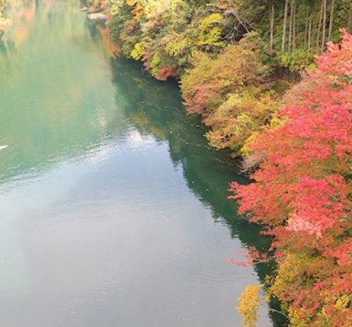 奥多摩の紅葉