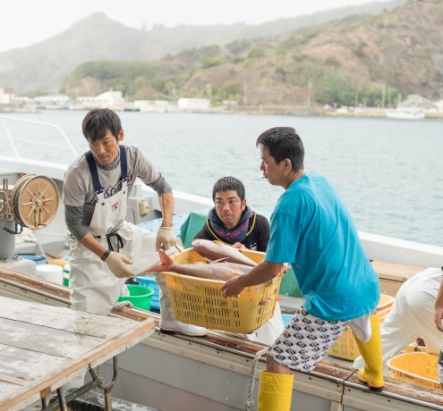 小笠原の水産業を支えるメカジキ漁の漁師 Tokyogrown S Producers 生産者など とうきょうの恵みtokyo Grown