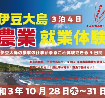 伊豆大島農業就業体験