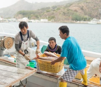 『小笠原の水産業を支えるメカジキ漁の漁師』