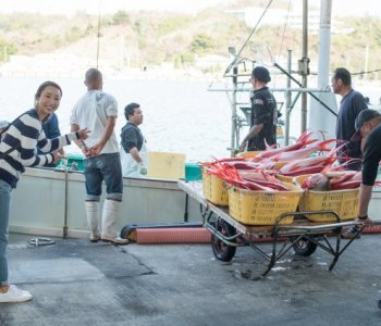 『小笠原島漁業協同組合で魚の水揚げ見学！』