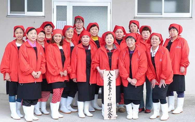 八丈島の漁業を支える漁協女性部 八丈産おさかな研究会