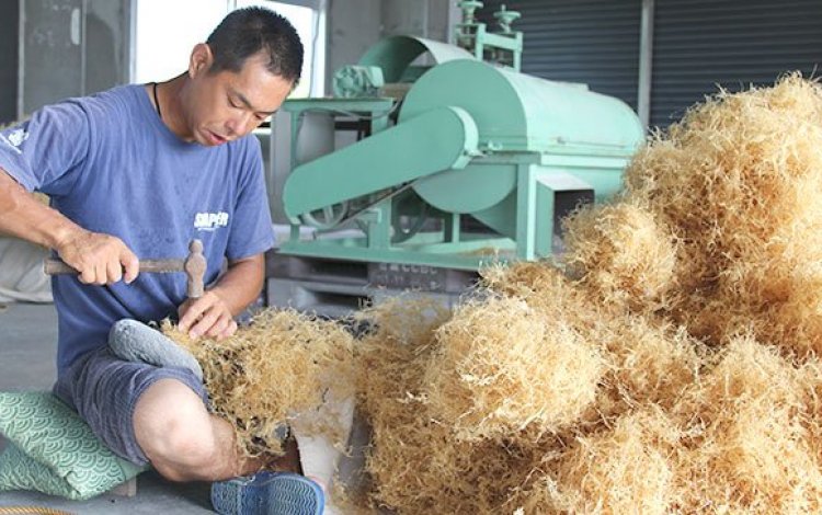 「テングサの島」復活に向けて 梅田寛己さん