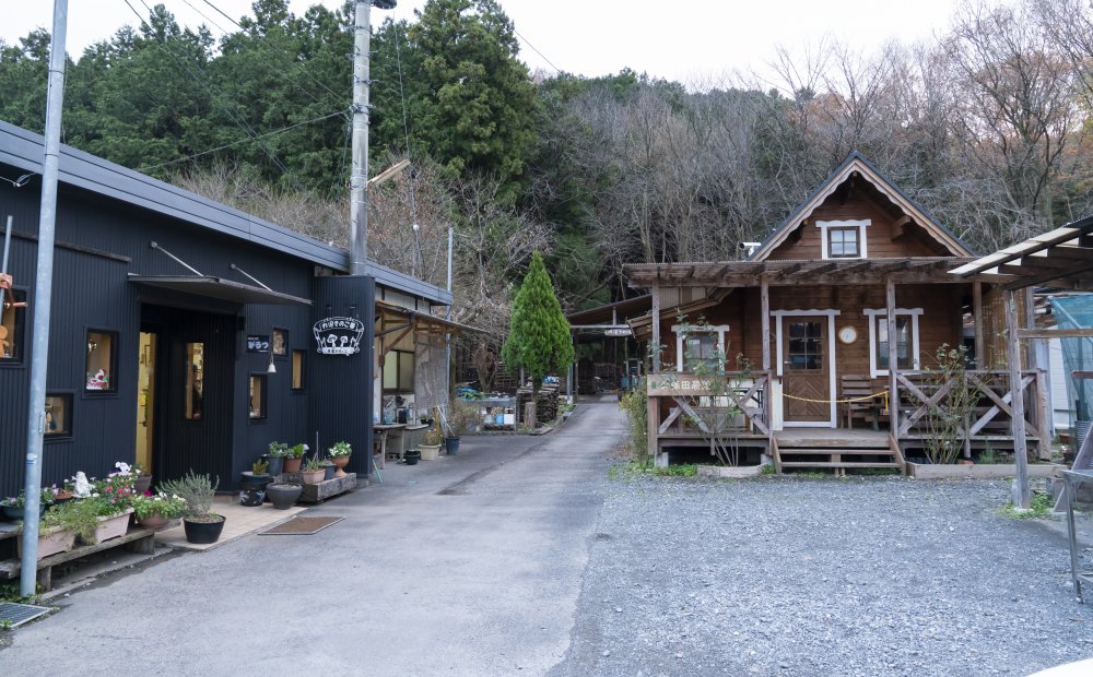 内沼きのこ園 青梅市 レジャー 体験 とうきょうの恵みtokyo Grown