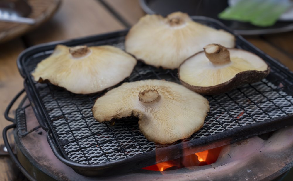 内沼きのこ園 青梅市 レジャー 体験 とうきょうの恵みtokyo Grown