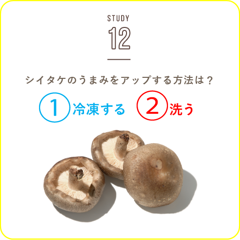 STUDY-12 うま味たっぷり、シイタケの秘密を解説！