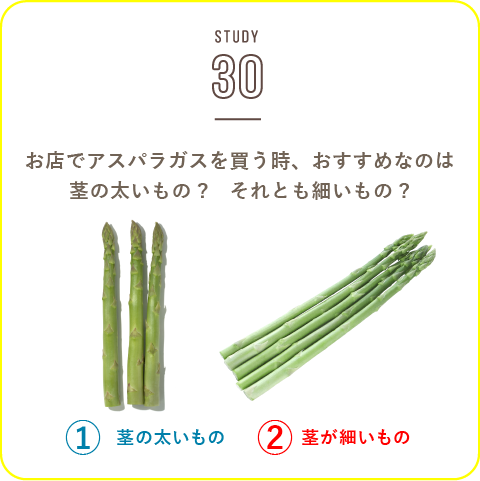 STUDY-30 春を告げる野菜の一つ「アスパラガス」