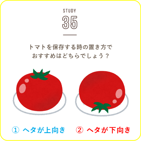 STUDY-35 春のトマトは特に美味しい！
