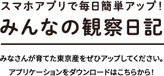 スマホアプリで毎日簡単アップ！みんなの観察日記