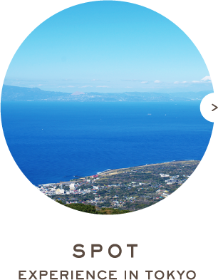 SPOT EXPERIENCE IN TOKYO