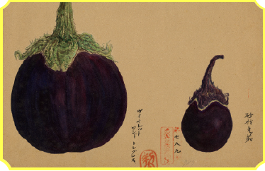 Sunamura Marunasu (right) 